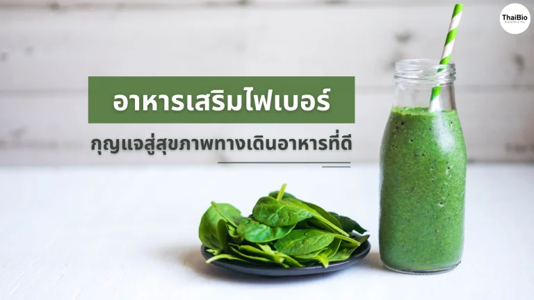 อาหารเสริมไฟเบอร์: กุญแจสู่สุขภาพทางเดินอาหารที่ดี