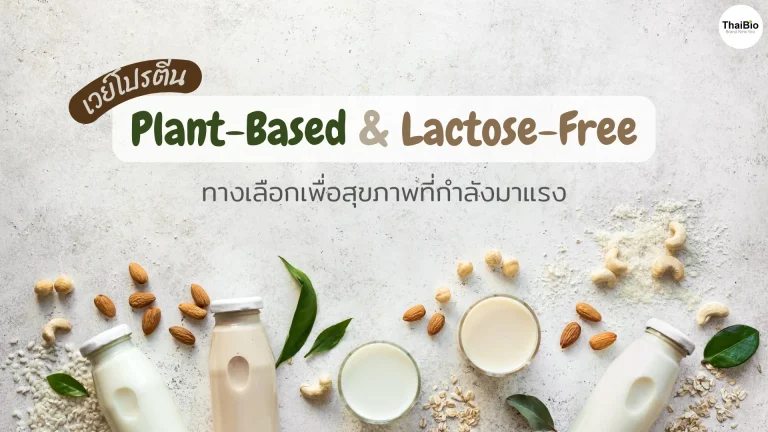 plant-based-lactose-free-protein