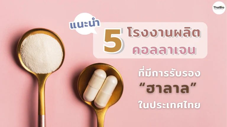 Thaibio-5-halal-certified-collagen-manufacturers-thailand