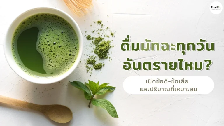 drink-matcha-daily-danger-benefits-risks-Thaibio