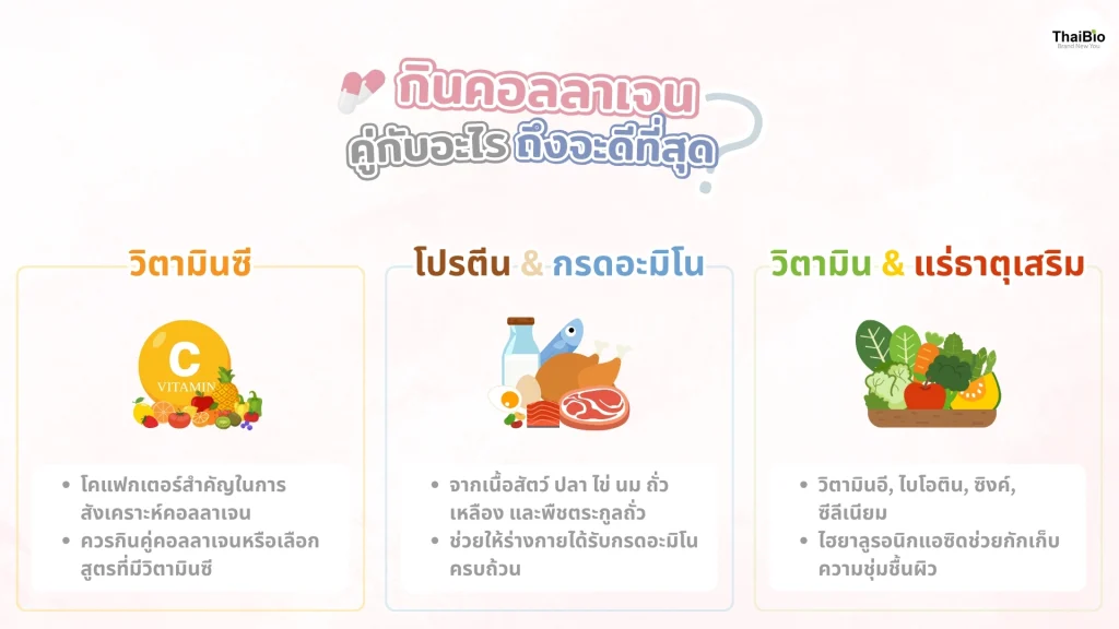 กินคอลลาเจนคู่กับอะไรถึงจะดีที่สุด? (คู่หูคอลลาเจน) key-factors-that-help-enhance-collagen-function