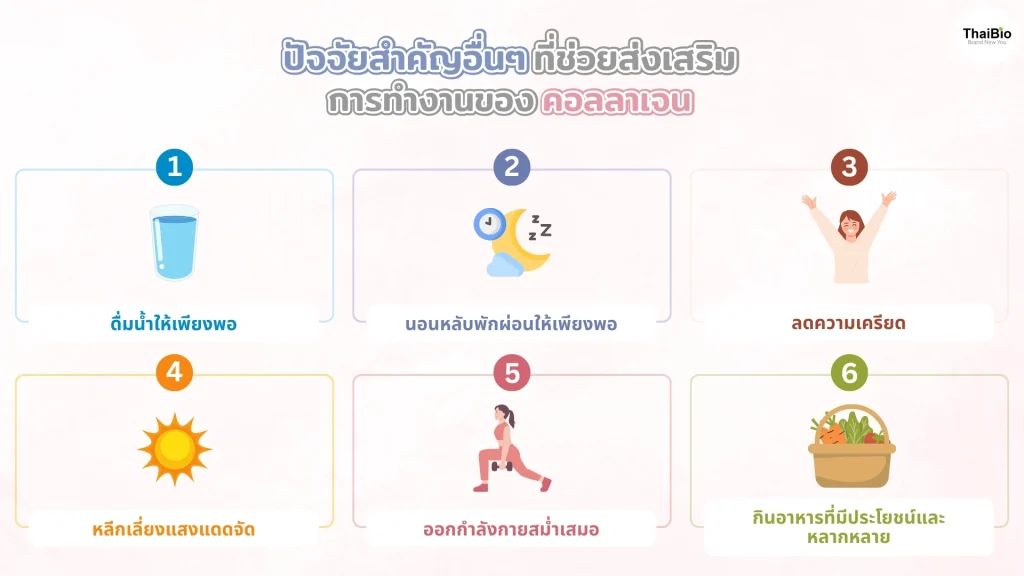 ปัจจัยสำคัญอื่นๆ ที่ช่วยส่งเสริมการทำงานของคอลลาเจน other-key-factors-that-help-support-collagen-function