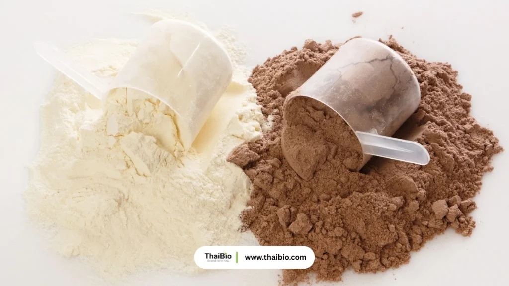 plant-protein-vs-whey-protein