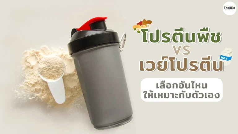plant-protein-vs-whey-protein-comprehensive-guide