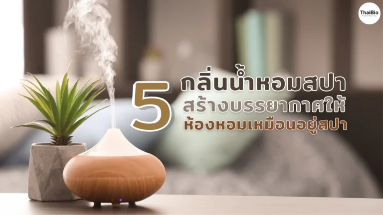 5-spa-fragrance-scents-transform-room-into-spa-Thaibio