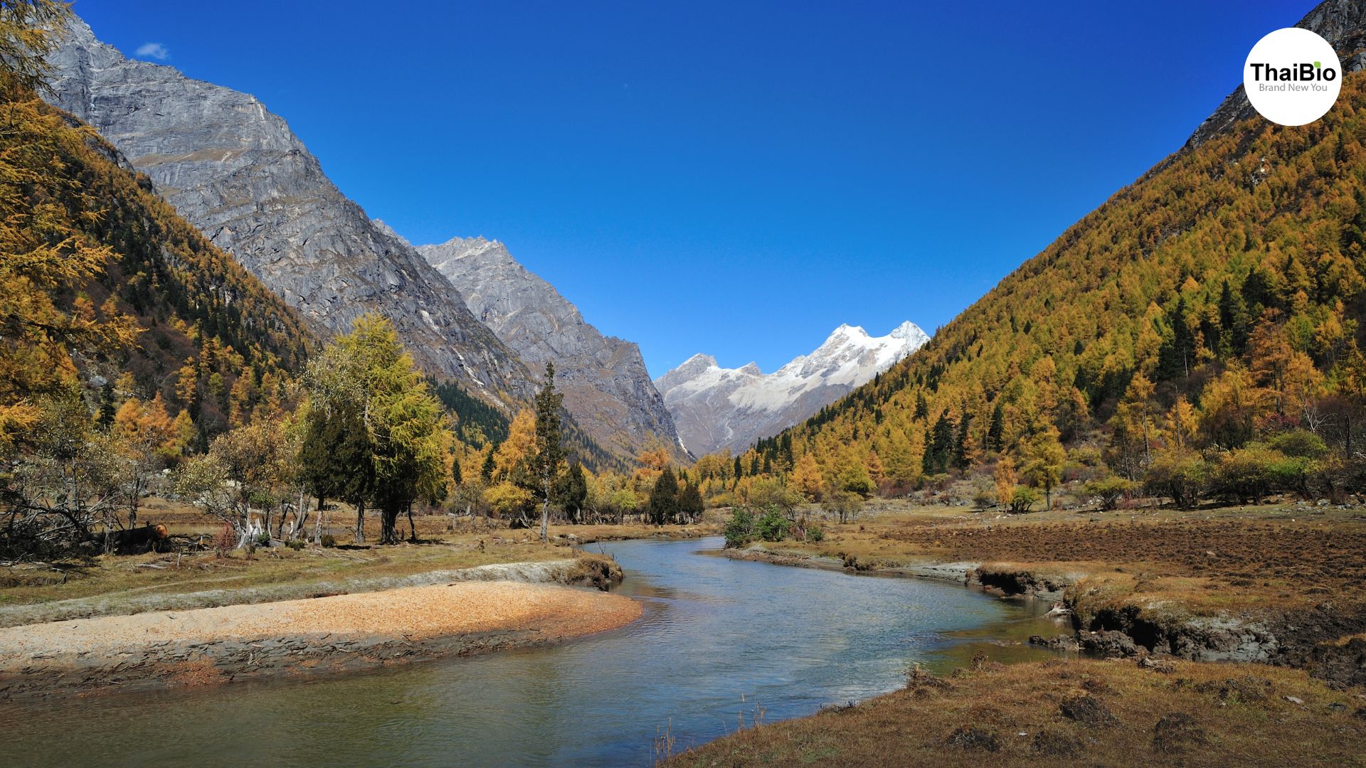 ภูเขาสี่ดรุณี