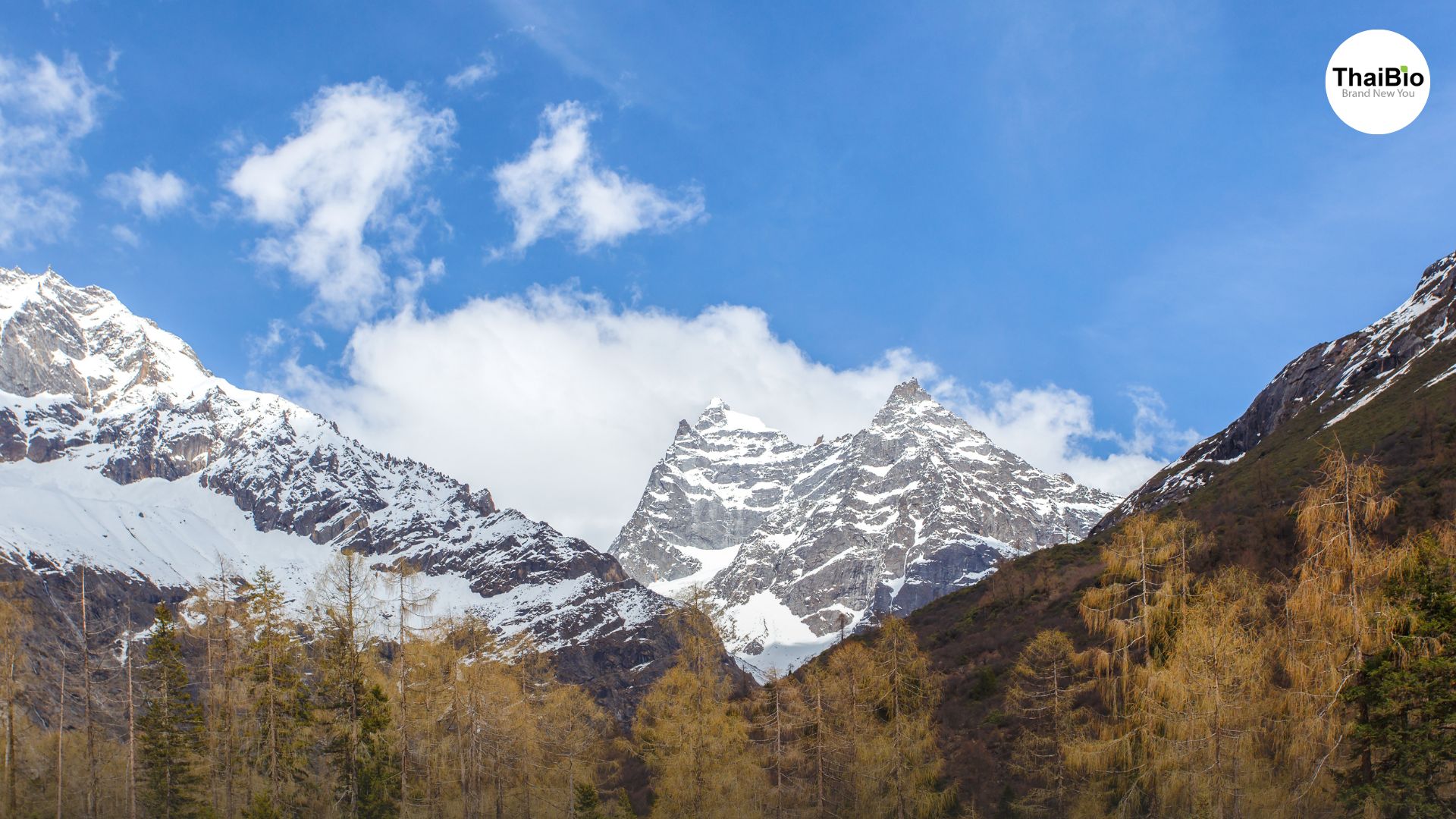 ภูเขาสี่ดรุณี