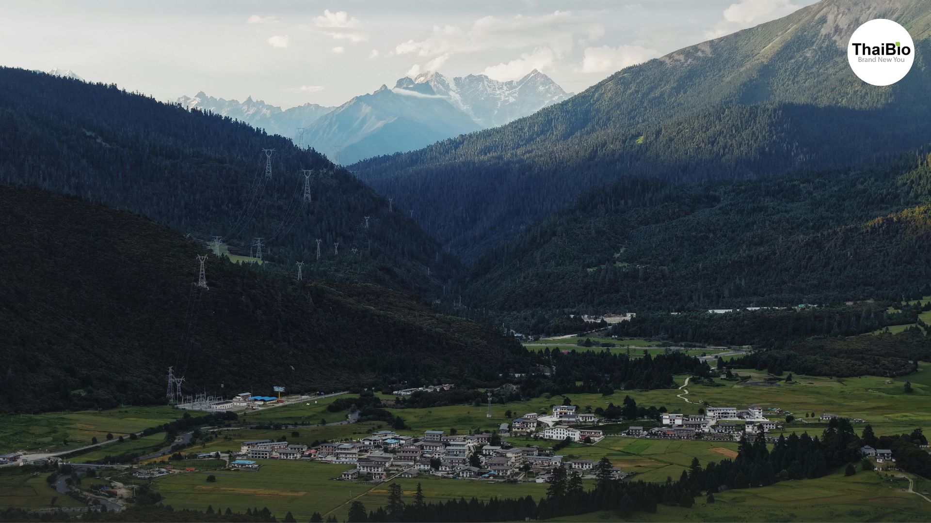 ภูเขาสี่ดรุณี