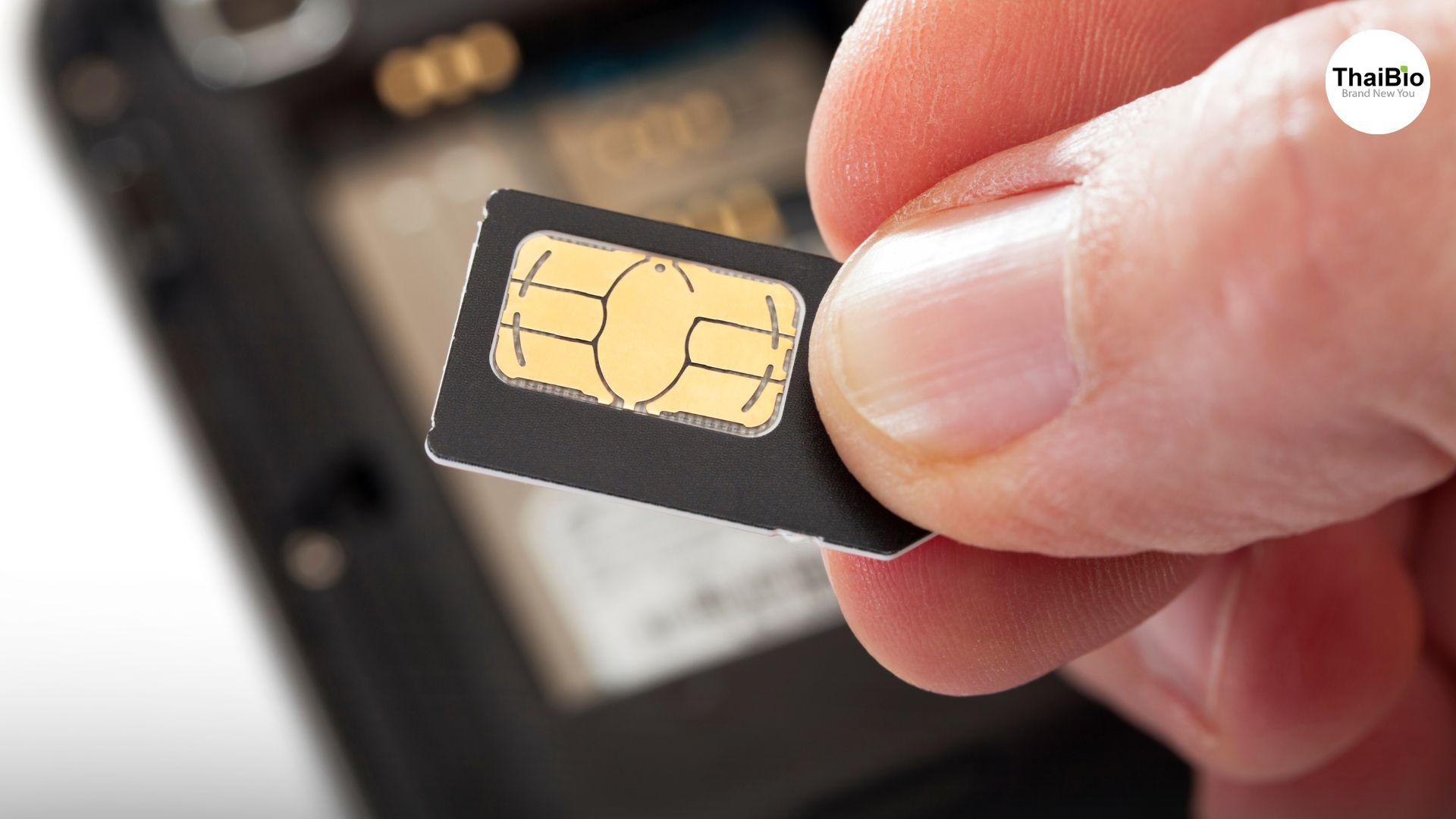 อินเทอร์เน็ตแรงทั่วประเทศ