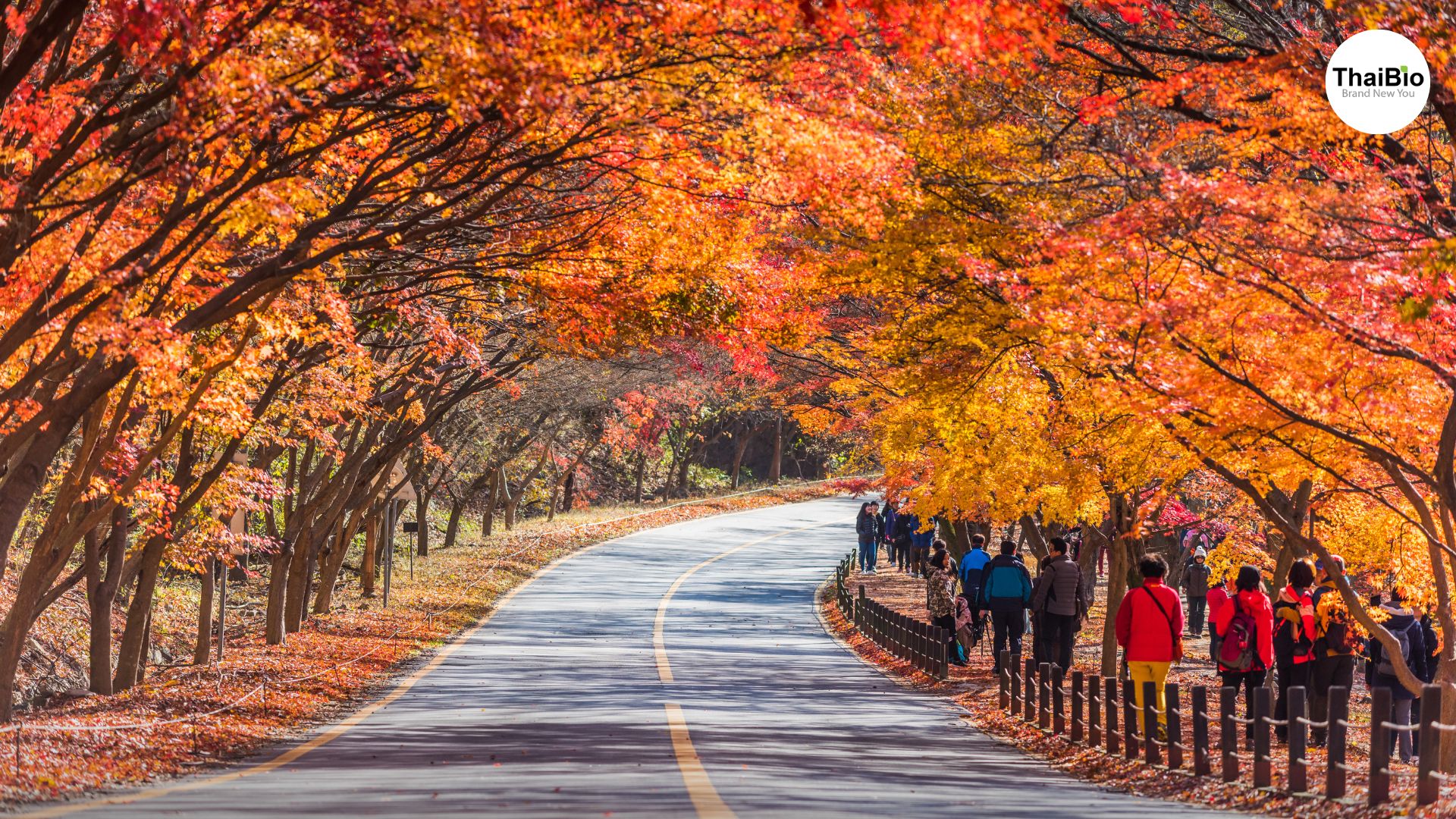 สภาพอากาศแตกต่างชัดเจน