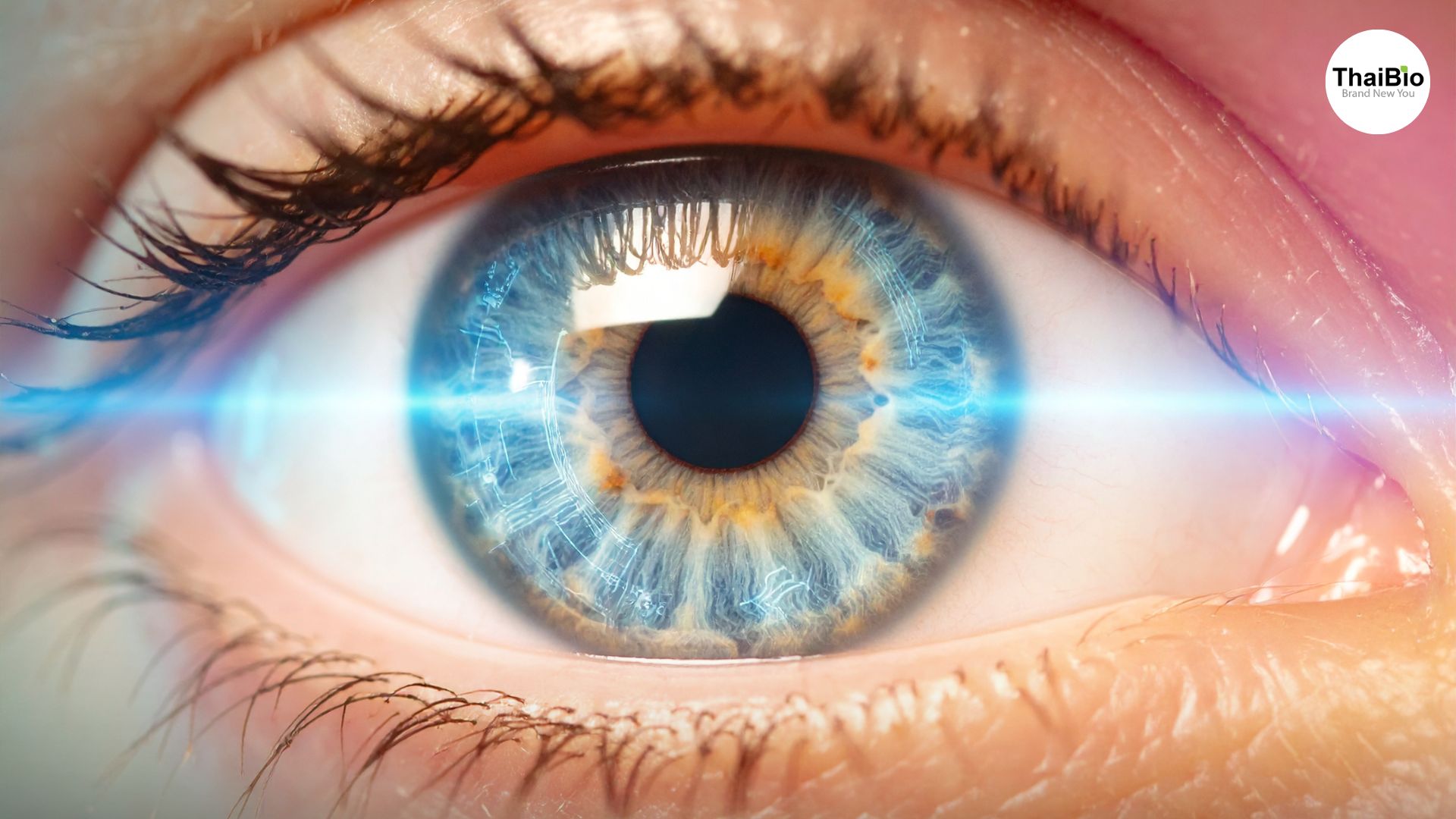 วิทยาศาสตร์ของแสงสีฟ้าและสุขภาพดวงตา