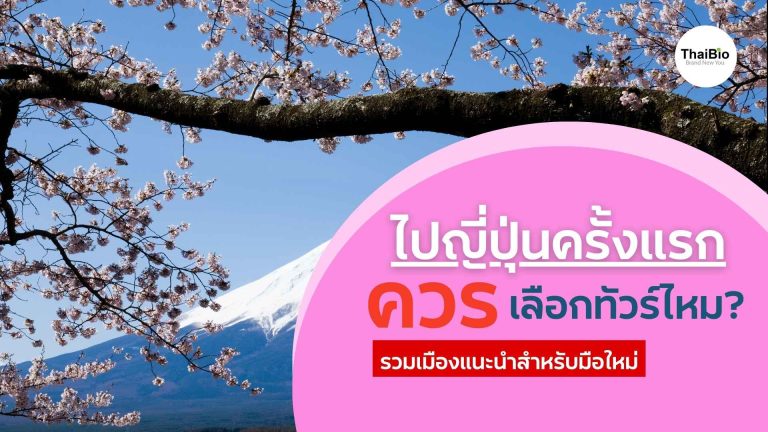 ไปญี่ปุ่นครั้งแรก เที่ยวเมืองไหนดี? รวมเมืองแนะนำสำหรับมือใหม่